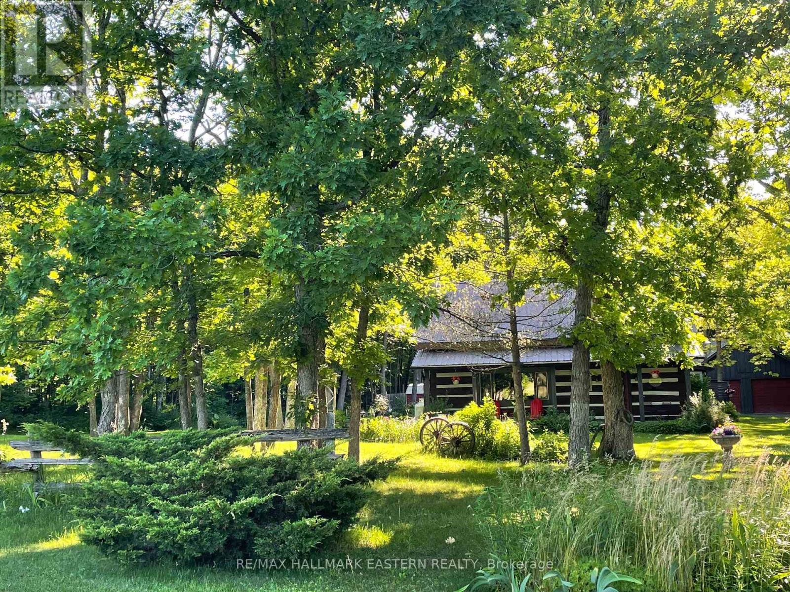 371-B Godolphin Road, Trent Hills, Ontario  K0K 3K0 - Photo 29 - X12843574