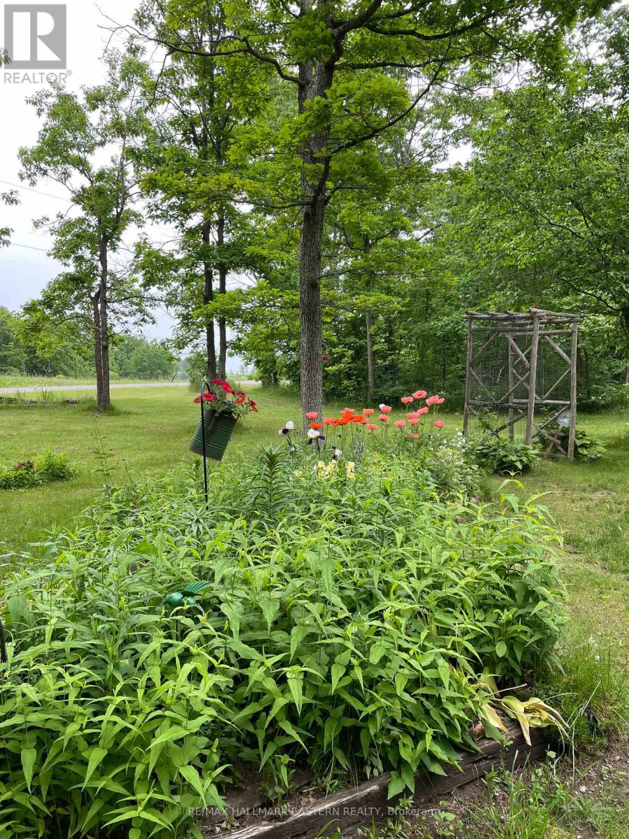 371-B Godolphin Road, Trent Hills, Ontario  K0K 3K0 - Photo 30 - X12843574