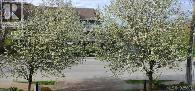 202 116 Queens Rd, Duncan, British Columbia  V9L 2W6 - Photo 29 - 1025867