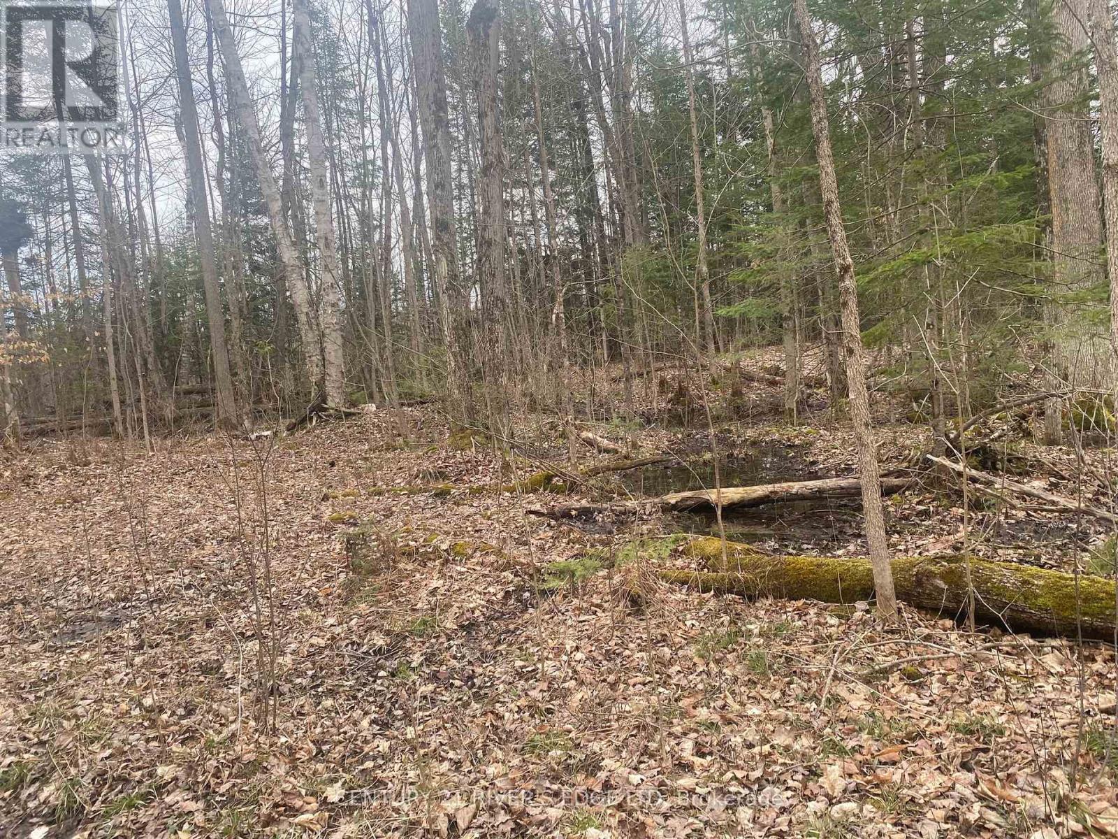 00 COUNTY RD 44 ROAD, Edwardsburgh/Cardinal