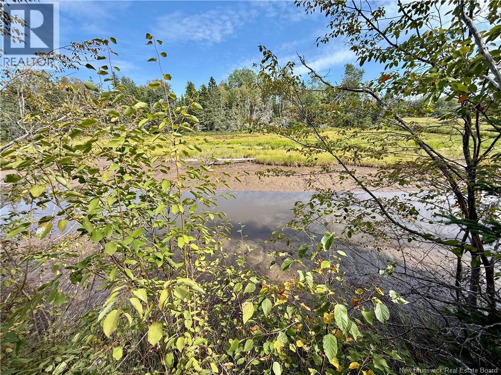 Lot Johnston Point Road, Johnston Point, New Brunswick  E4M 1P3 - Photo 35 - NB134241
