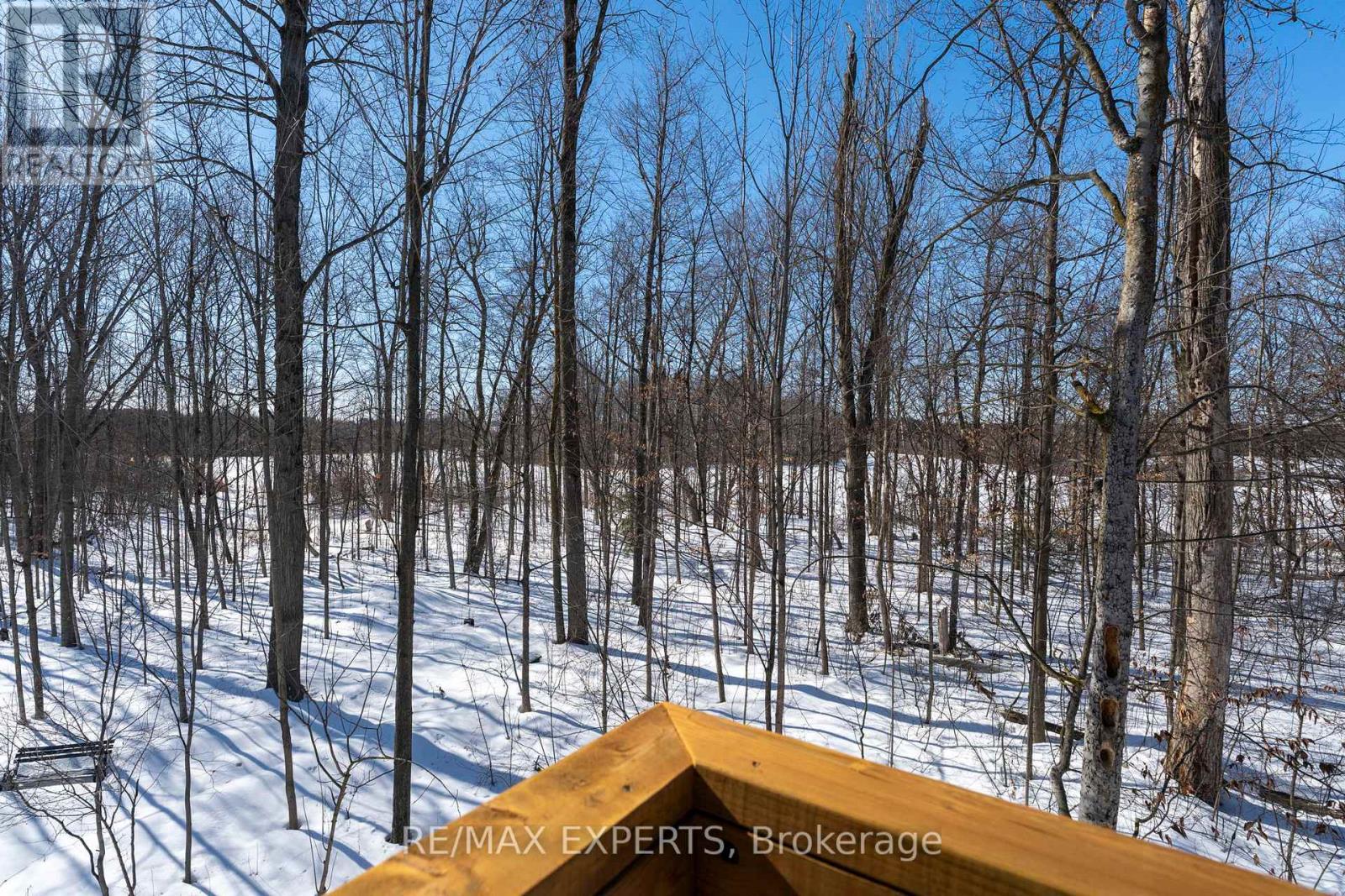 Loft - 14746 Caledon-King Twnln Line S, Caledon, Ontario  L7E 3R4 - Photo 18 - W12843552