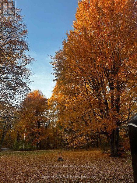 4478 Southwood Road, Muskoka Lakes, Ontario  P0C 1M0 - Photo 23 - X12843816