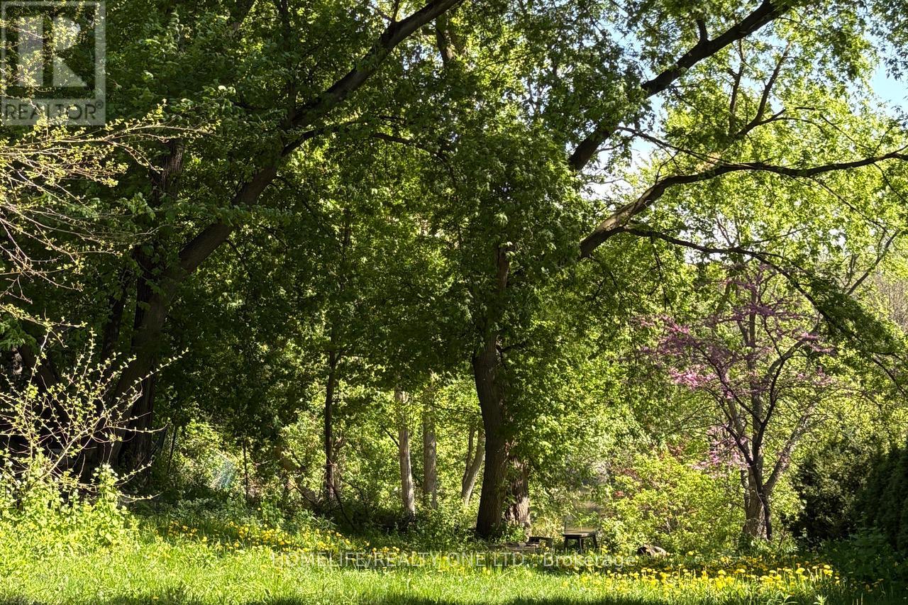 247 Berry Road, Toronto, Ontario  M8Y 1X8 - Photo 4 - W12843962