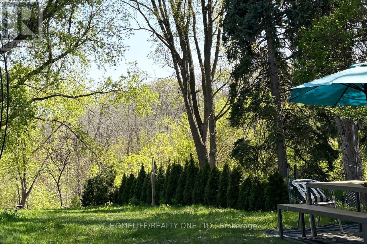 247 Berry Road, Toronto, Ontario  M8Y 1X8 - Photo 5 - W12843962