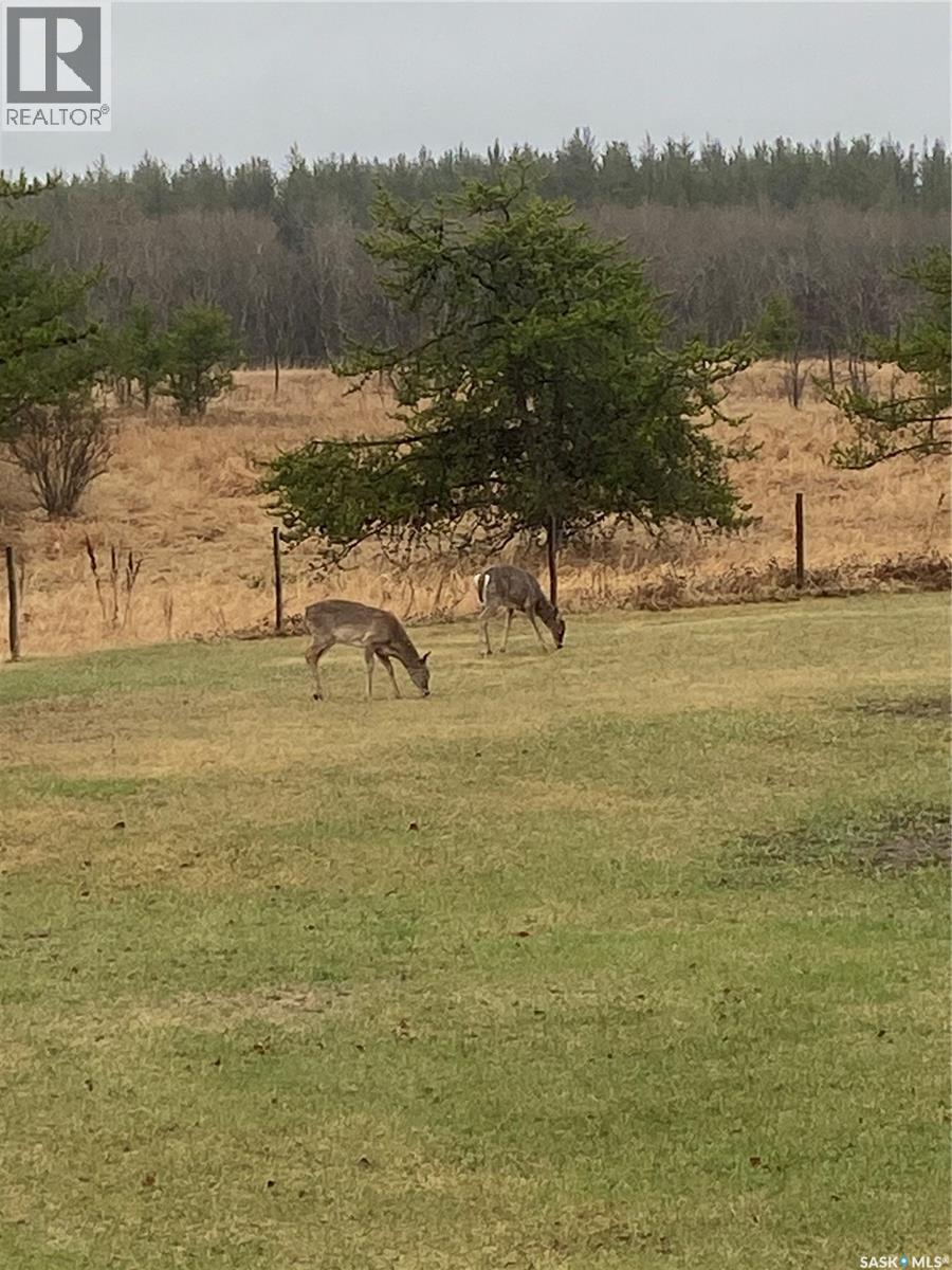 Walker Road Acreage, Buckland Rm No. 491, Saskatchewan  S6V 5R3 - Photo 50 - SK029559