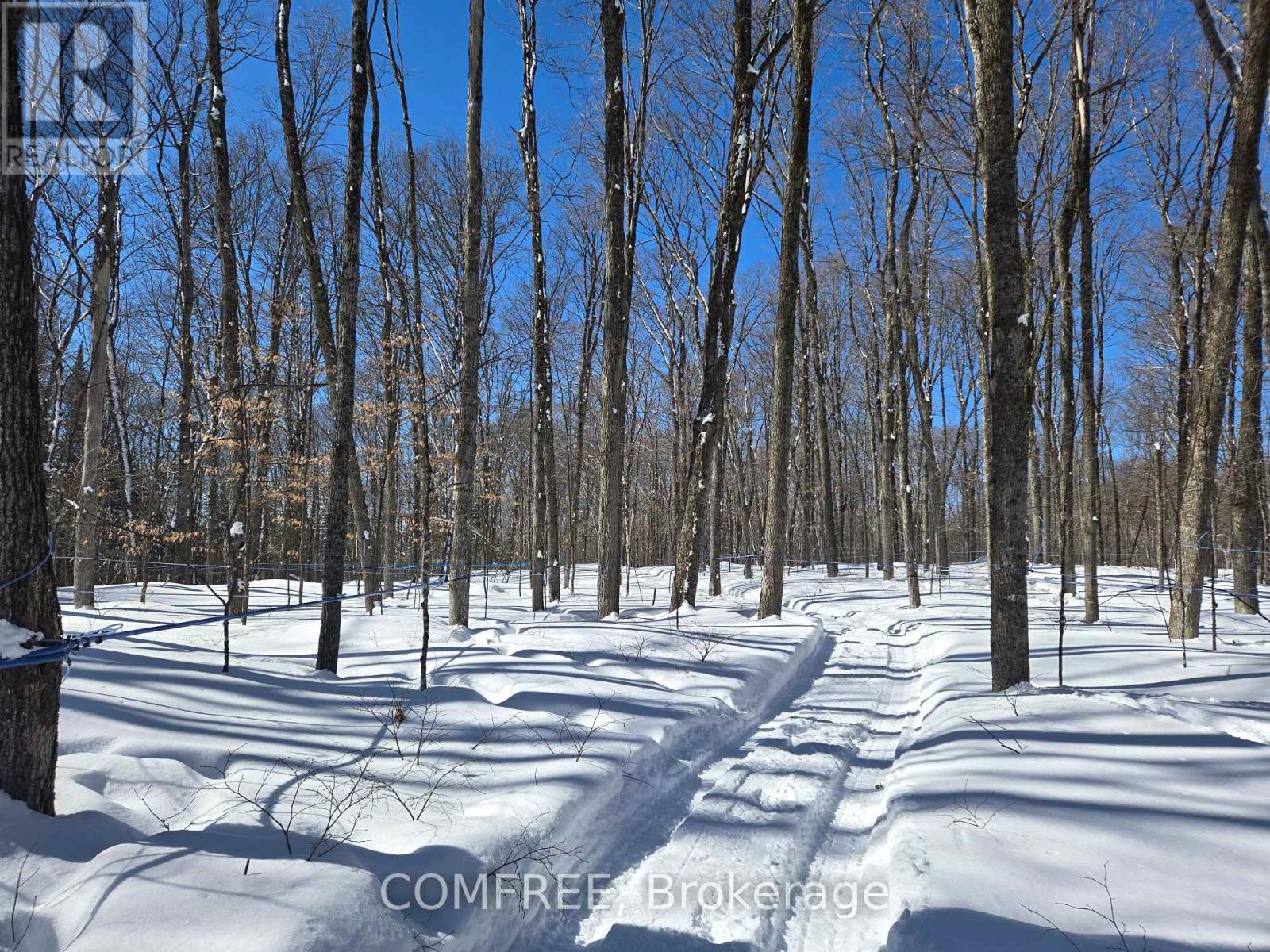 89 Stewart Road, Bancroft, Ontario  K0L 2L0 - Photo 16 - X12836780