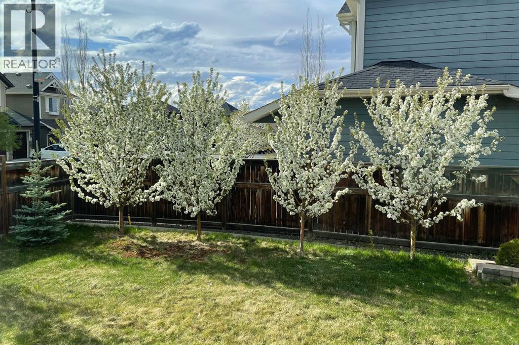 132 Auburn Sound Manor Se, Calgary, Alberta  T3M 0R6 - Photo 38 - A2289494