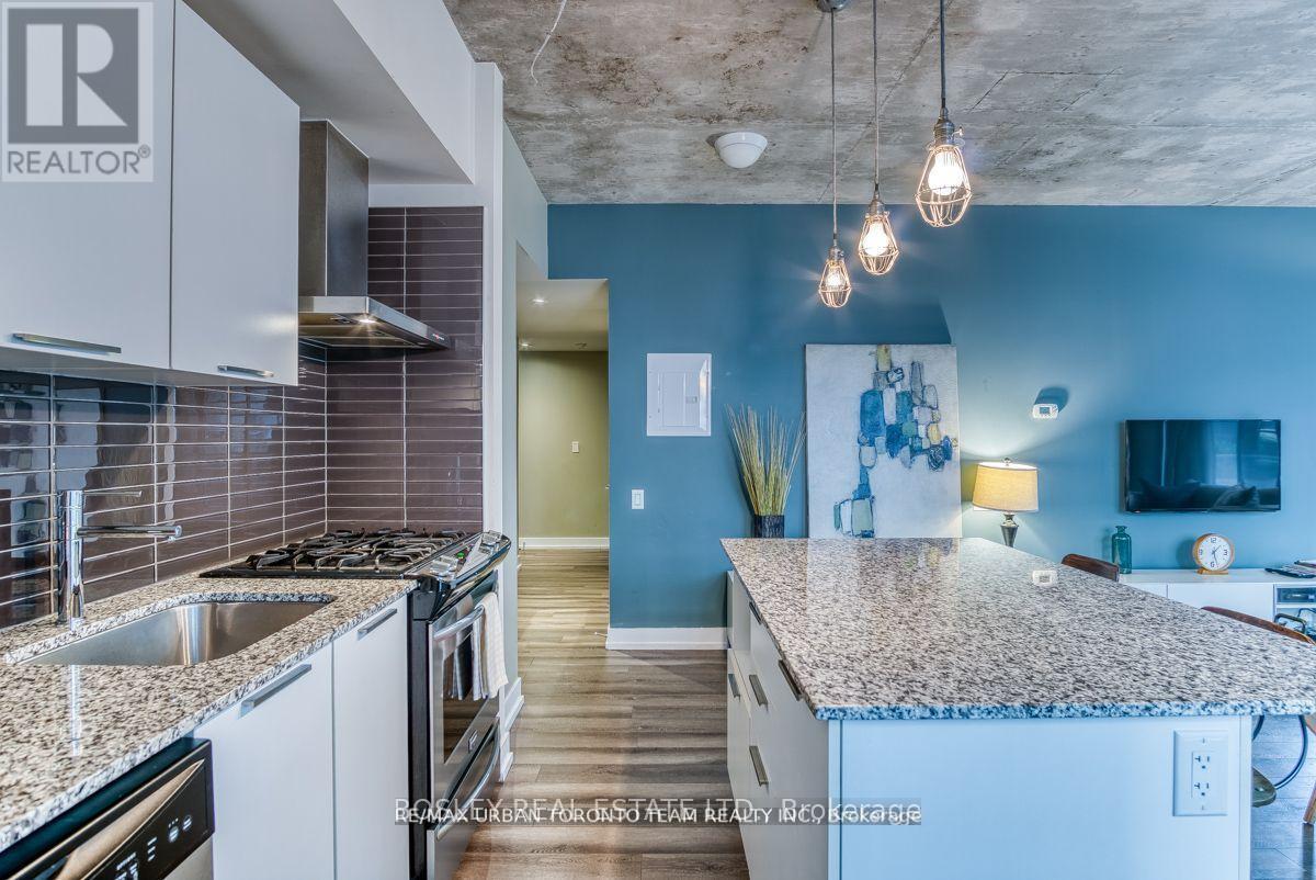 205 - 650 King Street W, Toronto, Ontario  M5V 0H6 - Photo 4 - C12844194