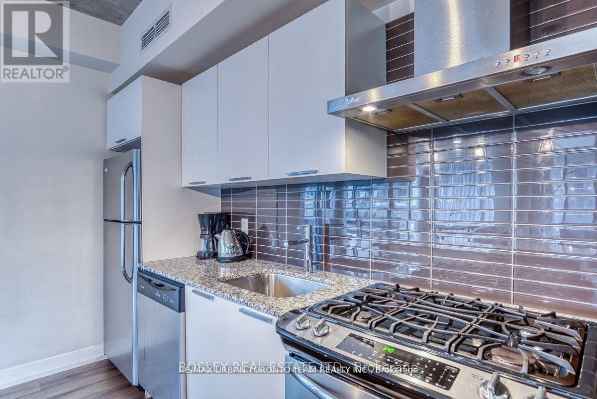 205 - 650 King Street W, Toronto, Ontario  M5V 0H6 - Photo 6 - C12844194