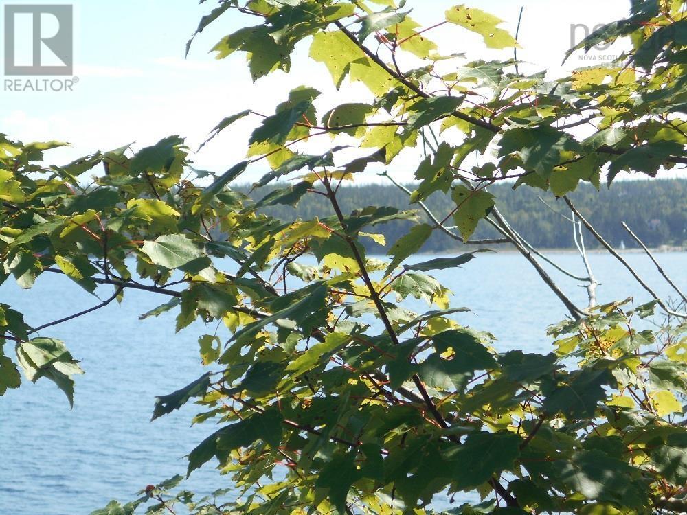 Lot 2 Shad Bay, Lot 2 Grant 1033 Northwesthead, Shad Bay, Nova Scotia  B3T 2B5 - Photo 3 - 202502423