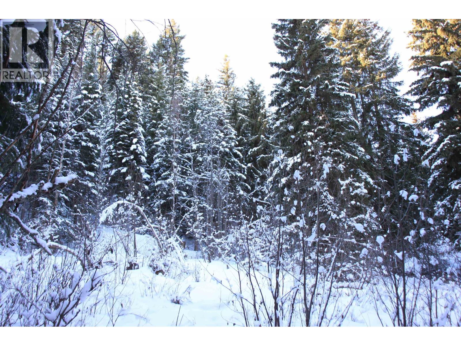 Prop Lot 35 Brown Road, Bridge Lake, British Columbia  V0K 1X2 - Photo 16 - R3093820