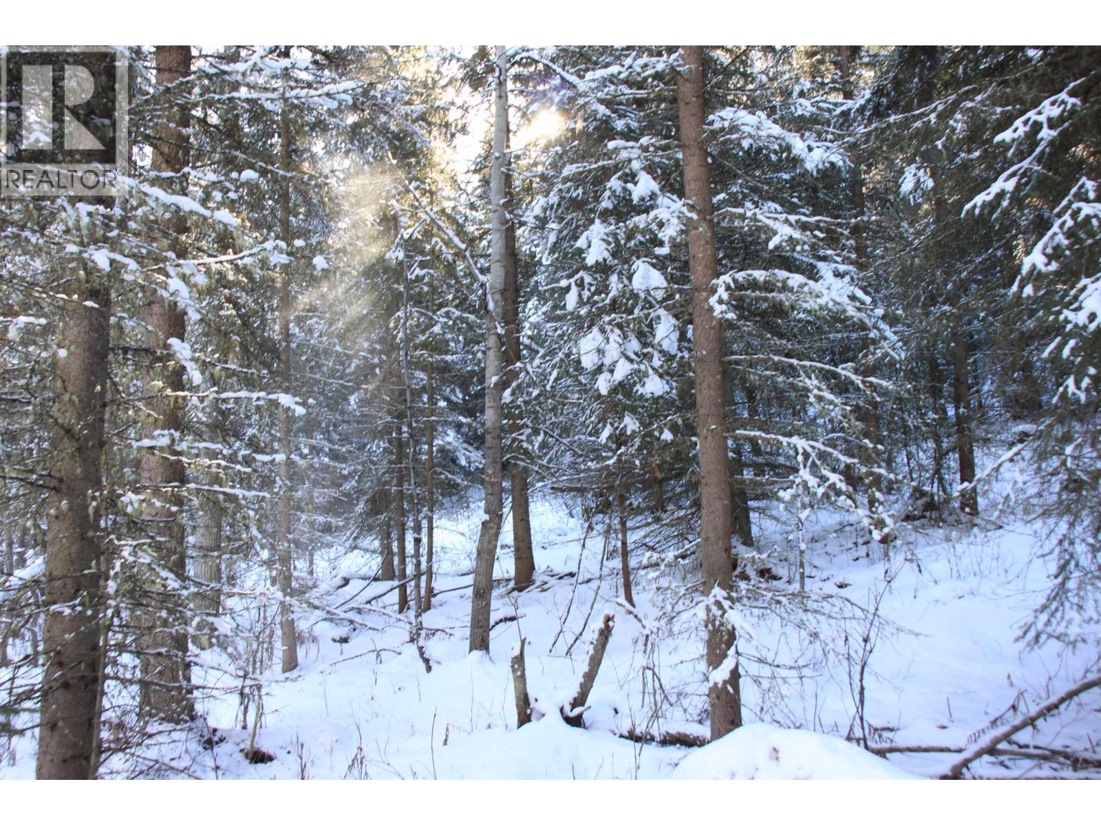 Prop Lot 35 Brown Road, Bridge Lake, British Columbia  V0K 1X2 - Photo 15 - R3093820