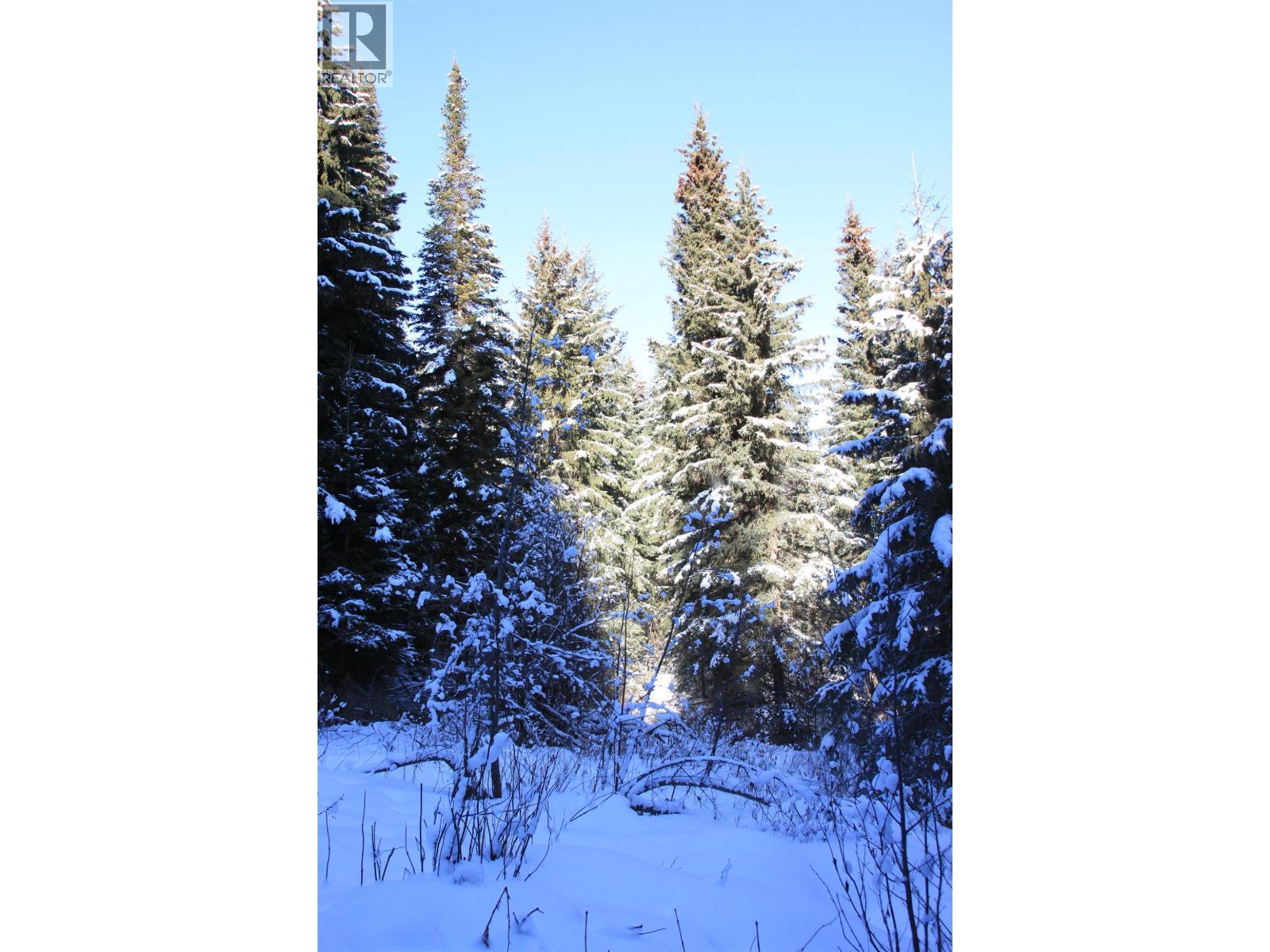 Prop Lot 35 Brown Road, Bridge Lake, British Columbia  V0K 1X2 - Photo 17 - R3093820