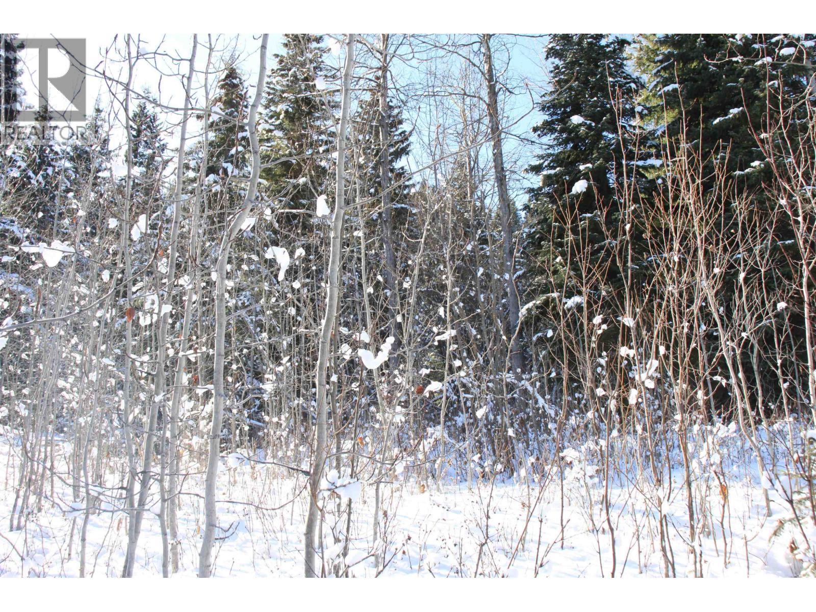 Prop Lot 35 Brown Road, Bridge Lake, British Columbia  V0K 1X2 - Photo 29 - R3093820