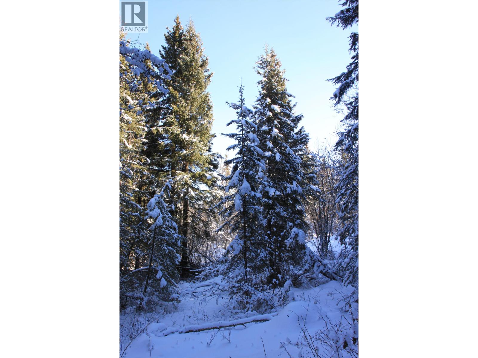 Prop Lot 35 Brown Road, Bridge Lake, British Columbia  V0K 1X2 - Photo 21 - R3093820