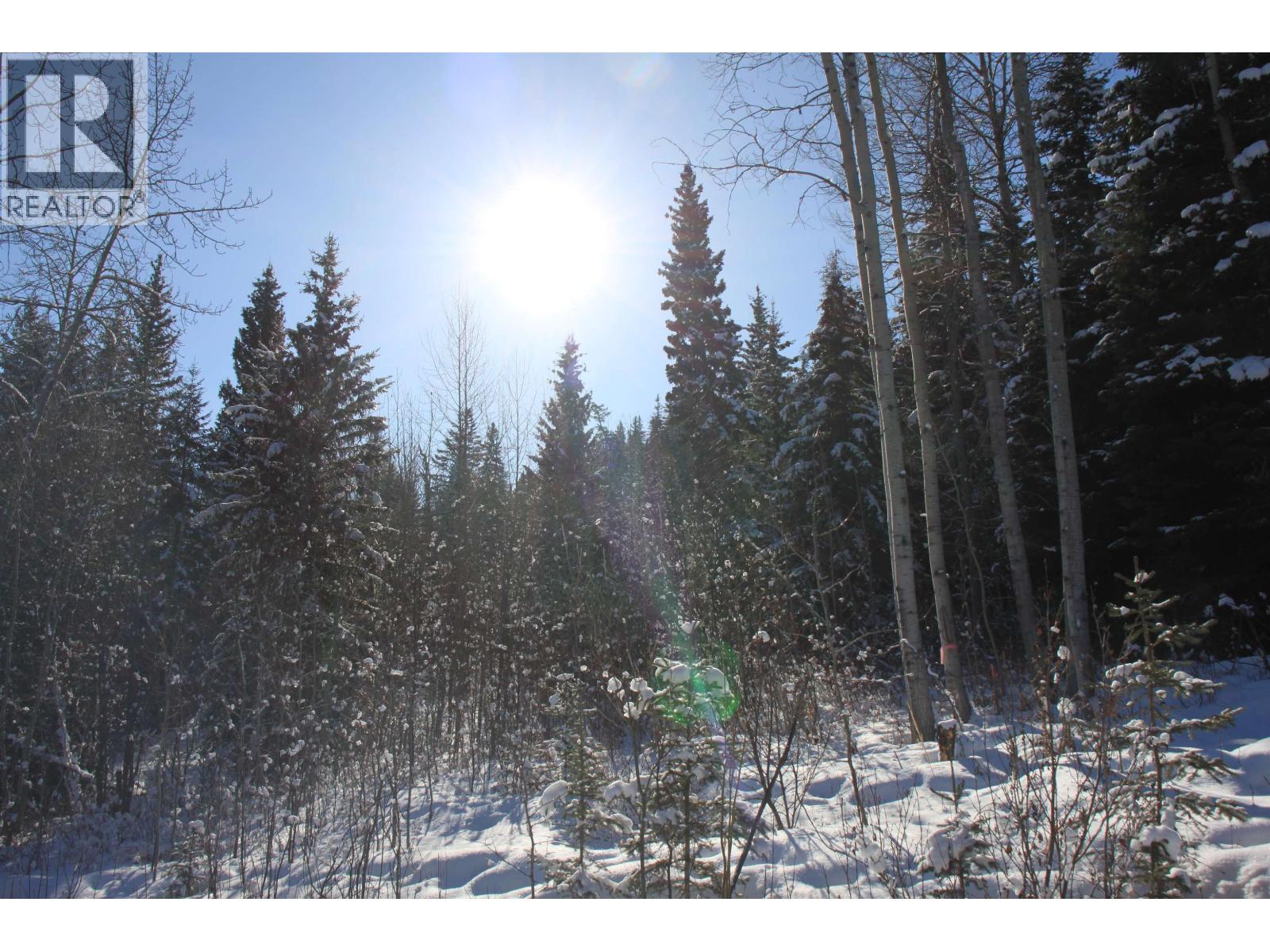 Prop Lot 35 Brown Road, Bridge Lake, British Columbia  V0K 1X2 - Photo 4 - R3093820