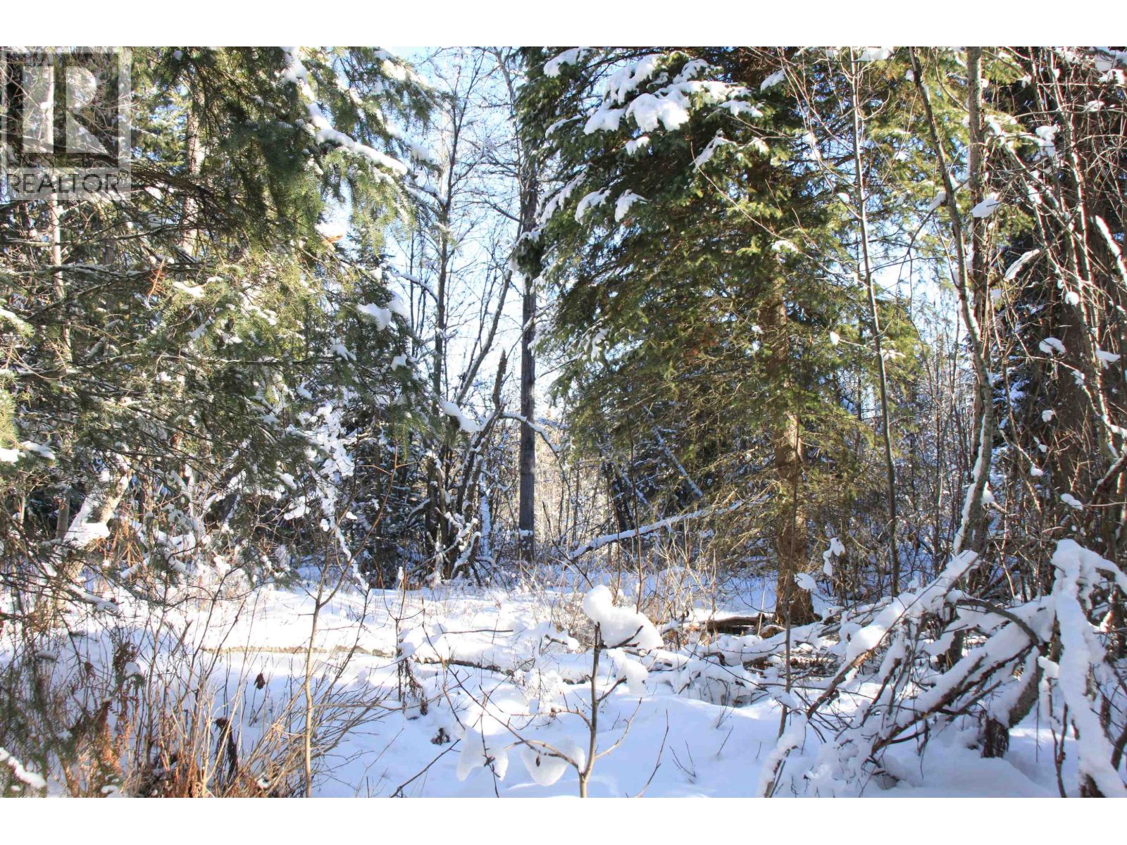 Prop Lot 35 Brown Road, Bridge Lake, British Columbia  V0K 1X2 - Photo 14 - R3093820