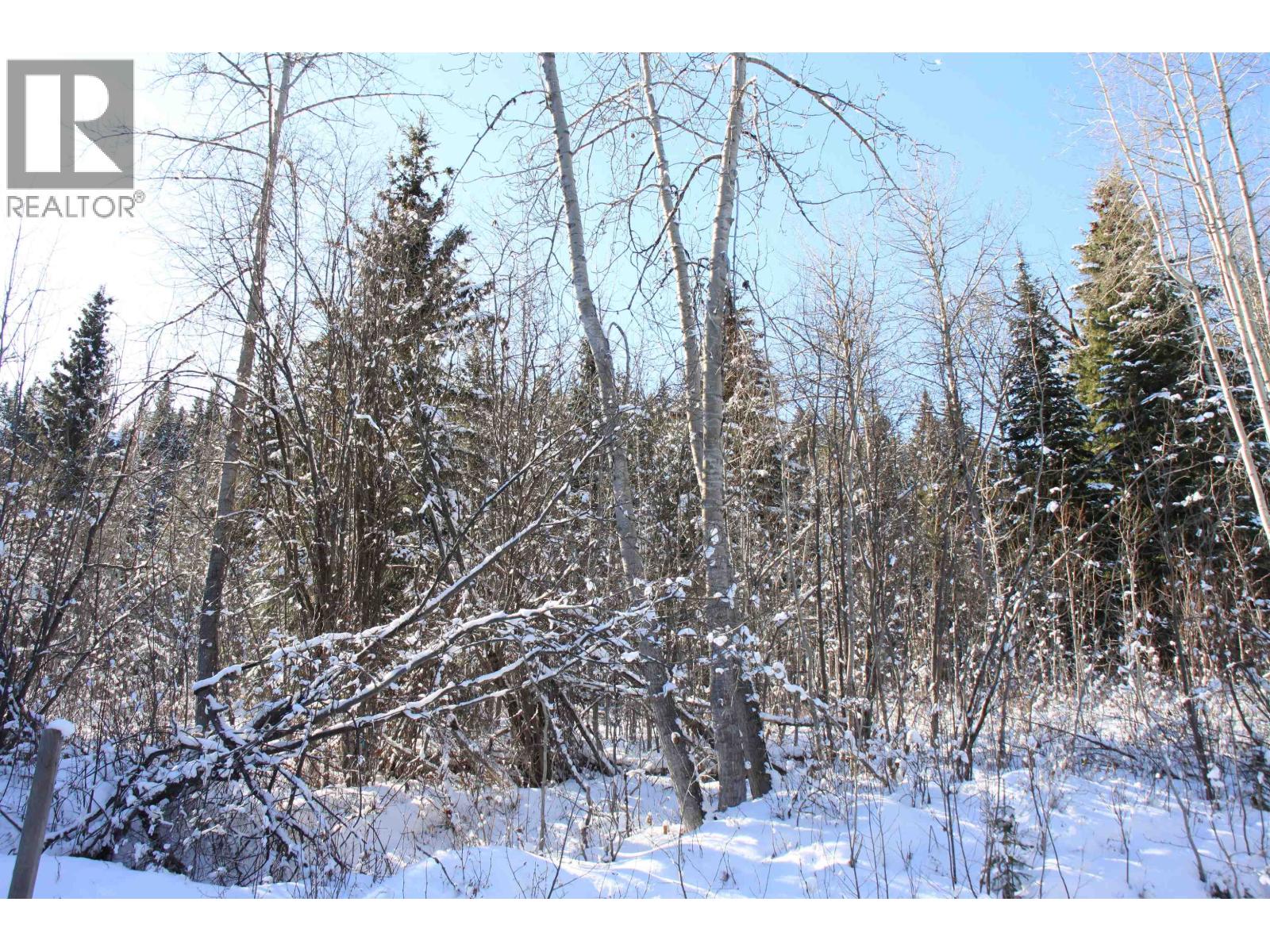 Prop Lot 35 Brown Road, Bridge Lake, British Columbia  V0K 1X2 - Photo 3 - R3093820