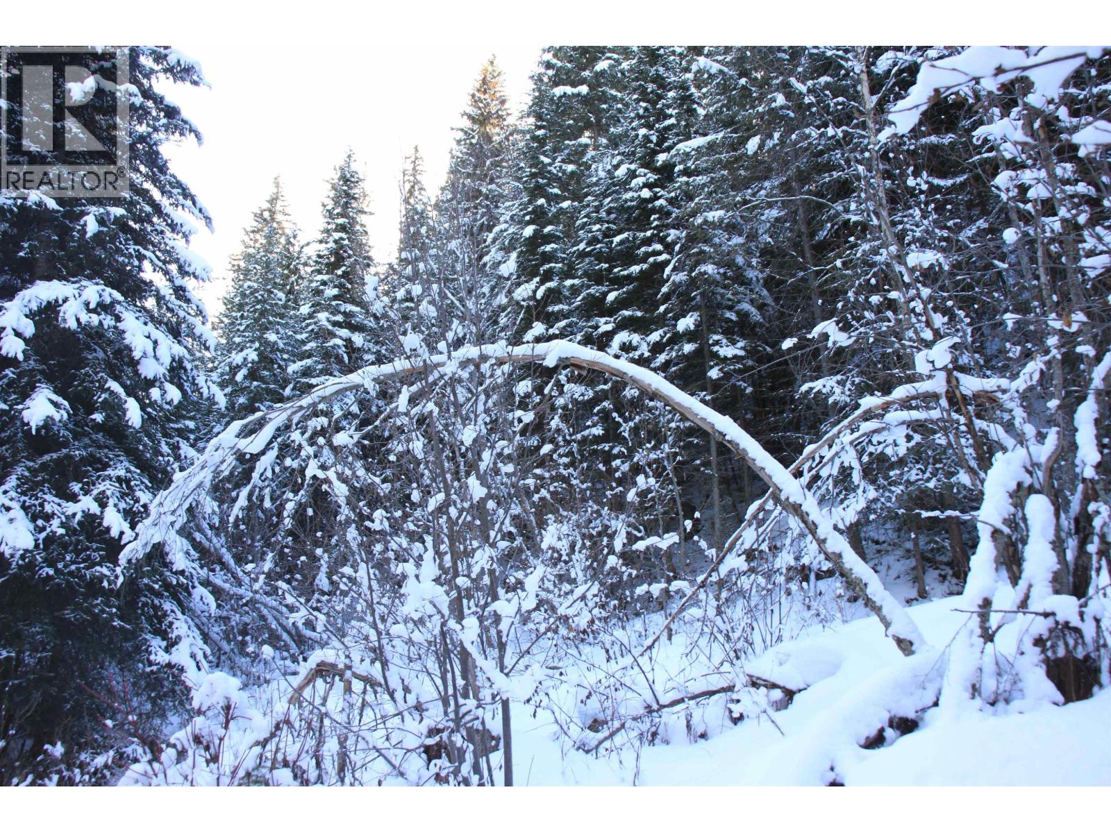 Prop Lot 35 Brown Road, Bridge Lake, British Columbia  V0K 1X2 - Photo 18 - R3093820