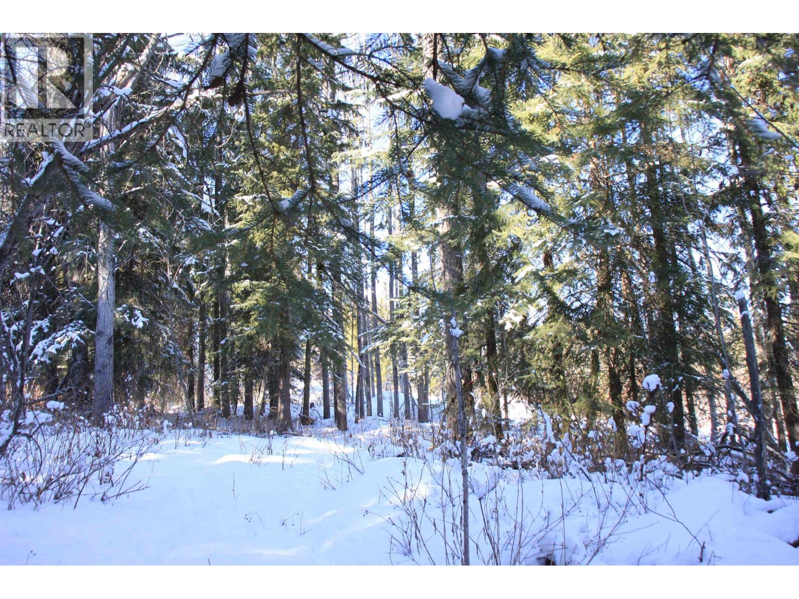 Prop Lot 35 Brown Road, Bridge Lake, British Columbia  V0K 1X2 - Photo 26 - R3093820