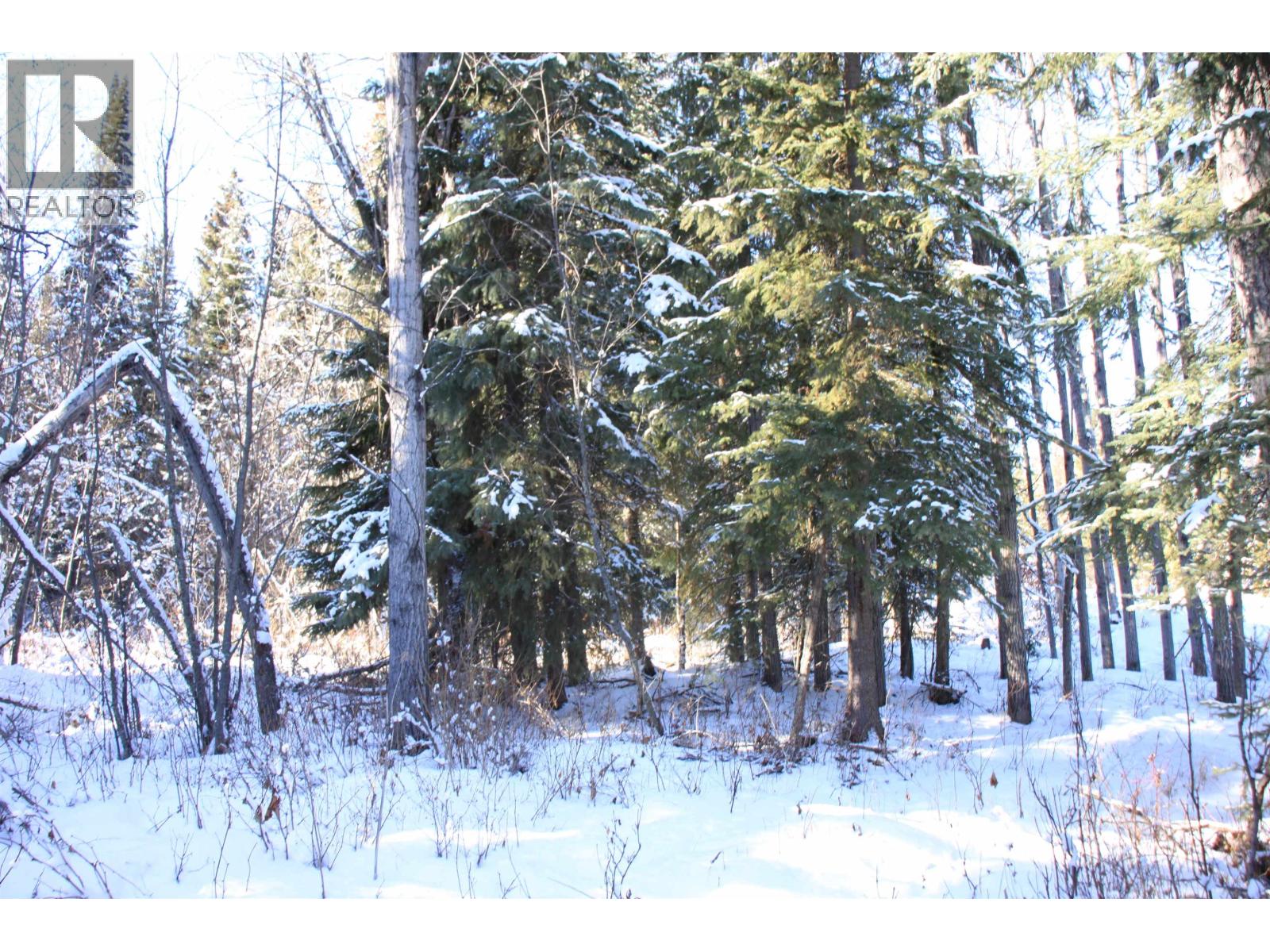 Prop Lot 35 Brown Road, Bridge Lake, British Columbia  V0K 1X2 - Photo 28 - R3093820