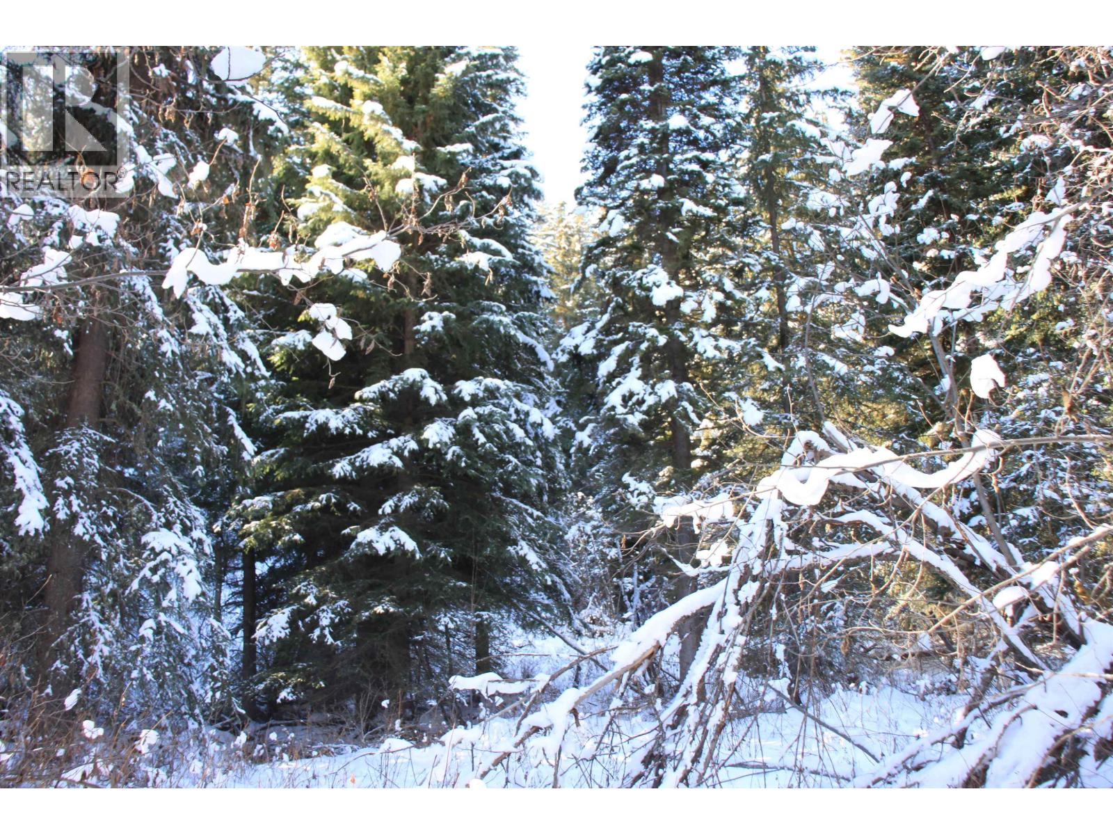 Prop Lot 35 Brown Road, Bridge Lake, British Columbia  V0K 1X2 - Photo 12 - R3093820