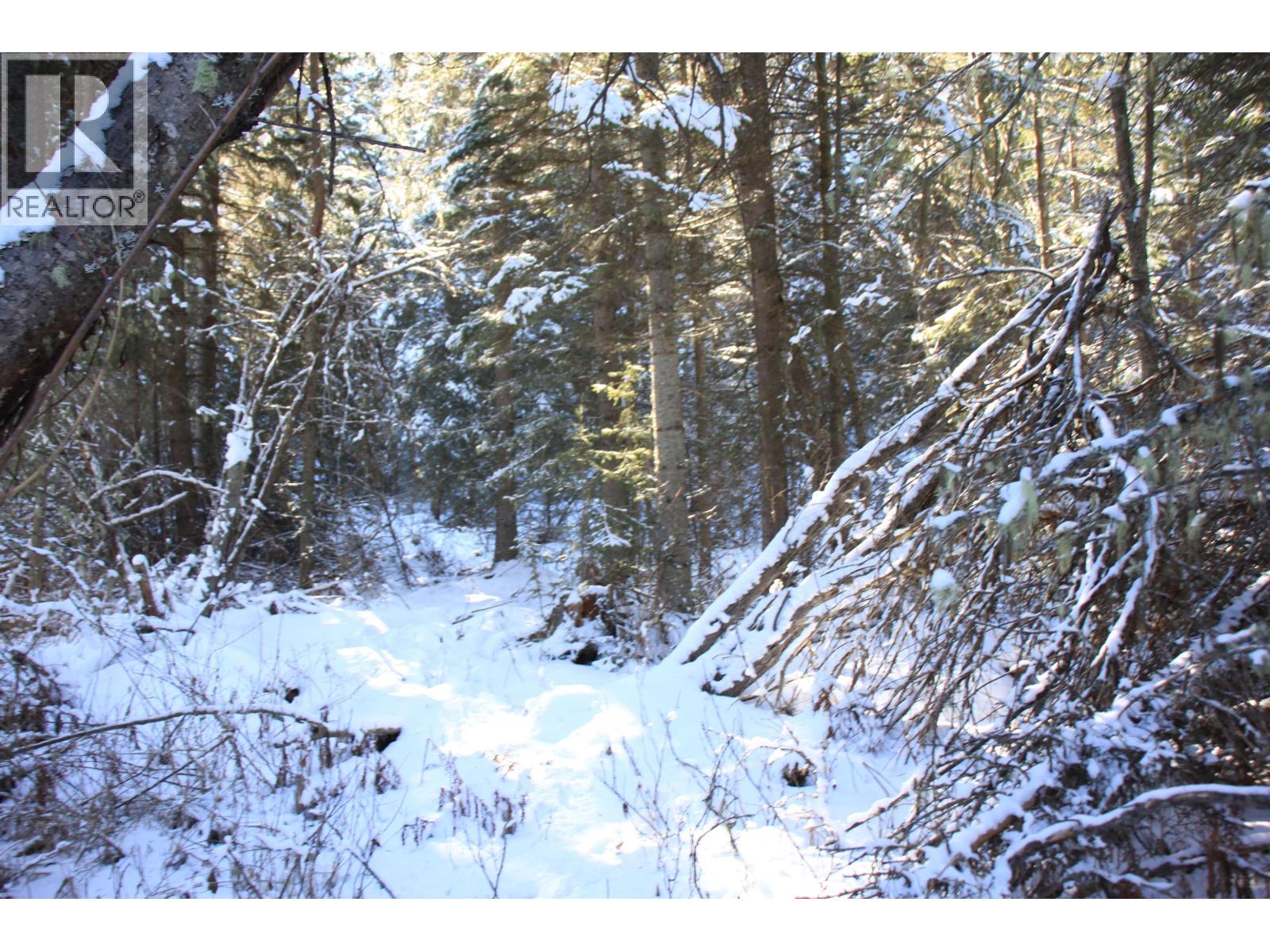 Prop Lot 35 Brown Road, Bridge Lake, British Columbia  V0K 1X2 - Photo 24 - R3093820