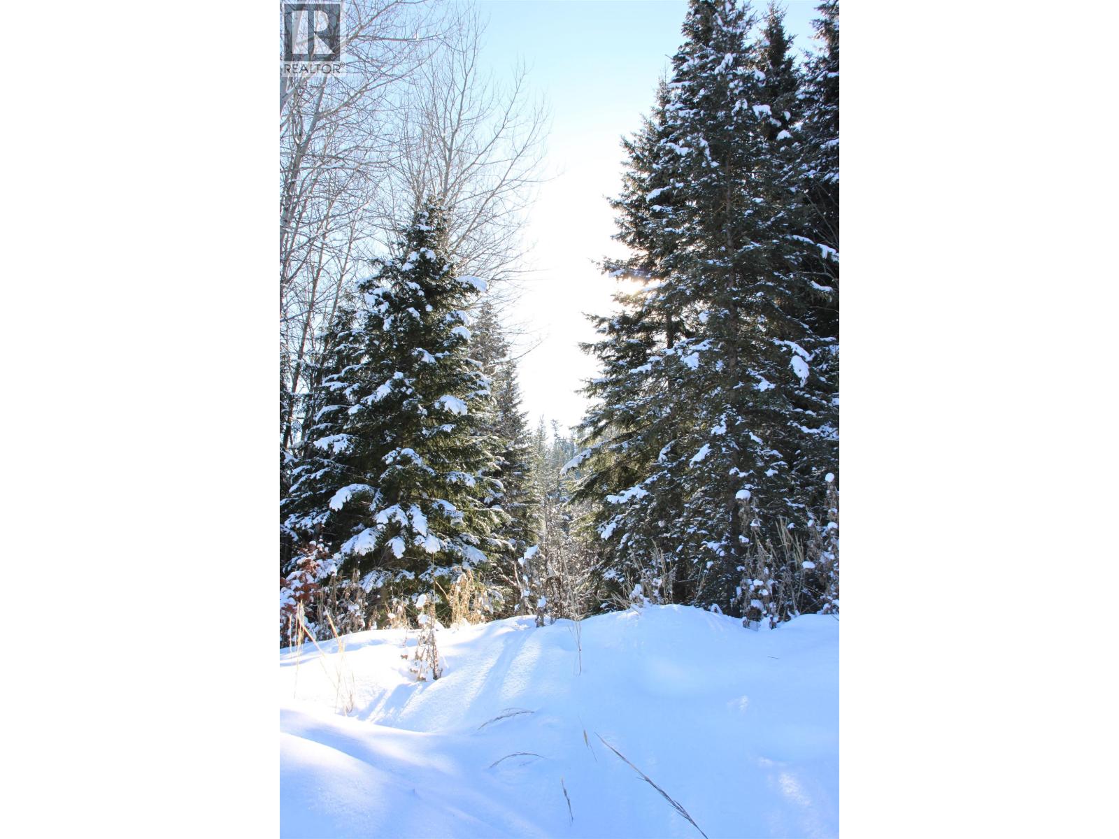 Prop Lot 35 Brown Road, Bridge Lake, British Columbia  V0K 1X2 - Photo 9 - R3093820