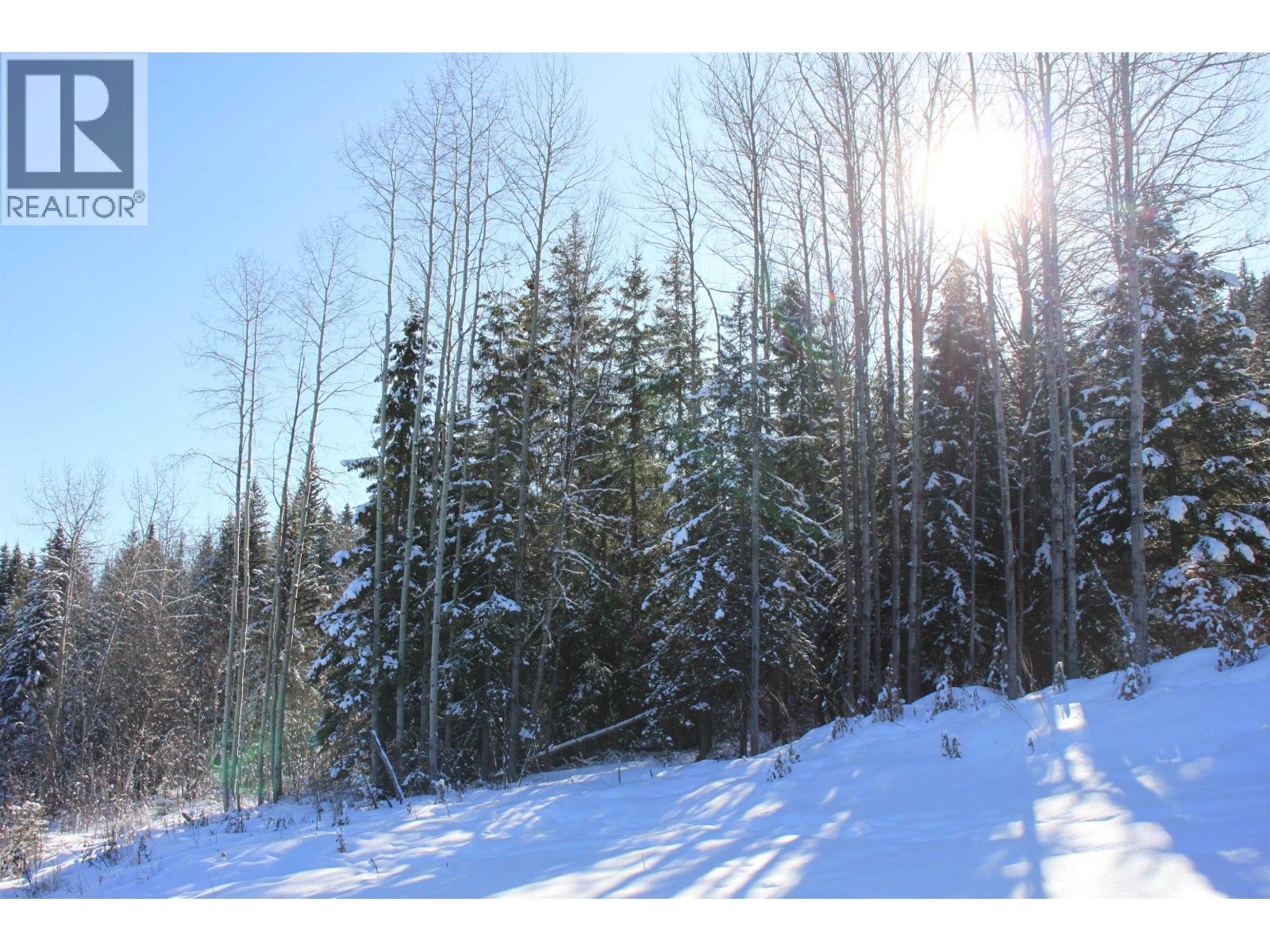 Prop Lot 35 Brown Road, Bridge Lake, British Columbia  V0K 1X2 - Photo 8 - R3093820