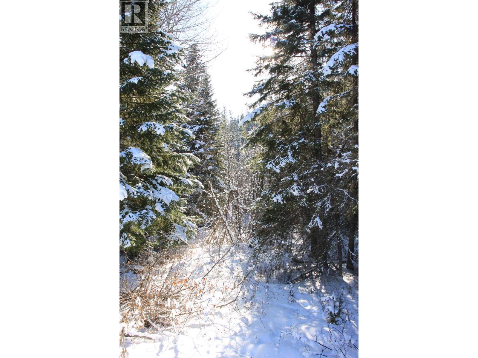 Prop Lot 35 Brown Road, Bridge Lake, British Columbia  V0K 1X2 - Photo 10 - R3093820