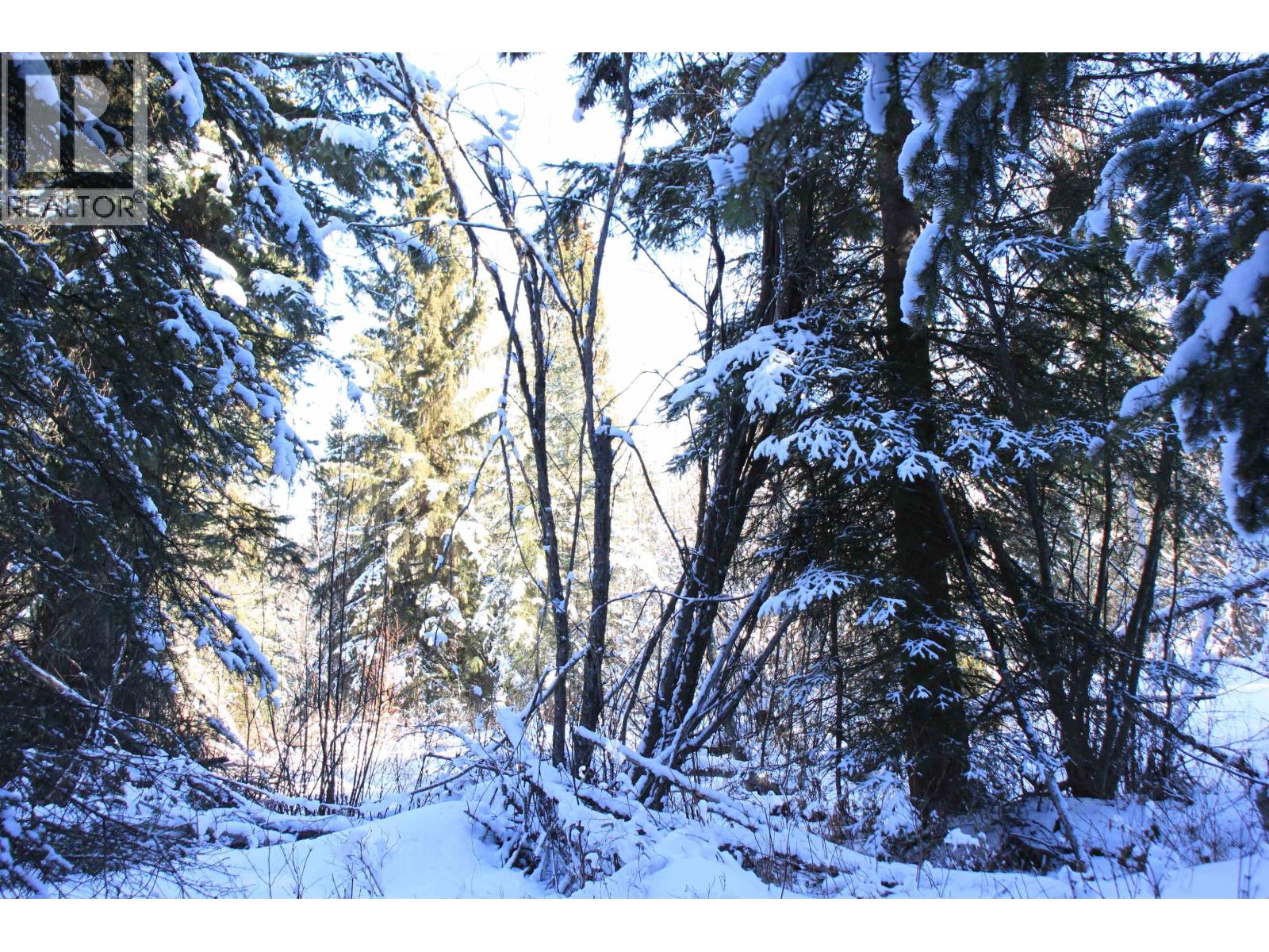 Prop Lot 35 Brown Road, Bridge Lake, British Columbia  V0K 1X2 - Photo 22 - R3093820