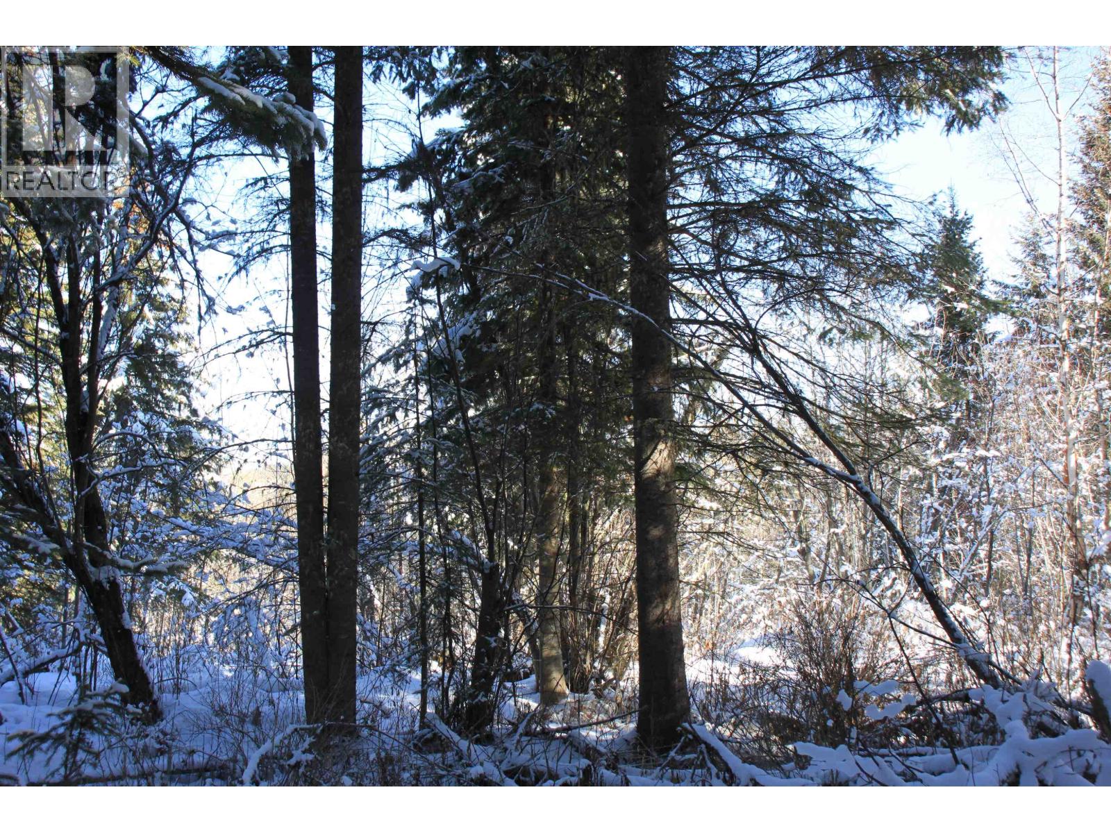 Prop Lot 35 Brown Road, Bridge Lake, British Columbia  V0K 1X2 - Photo 23 - R3093820