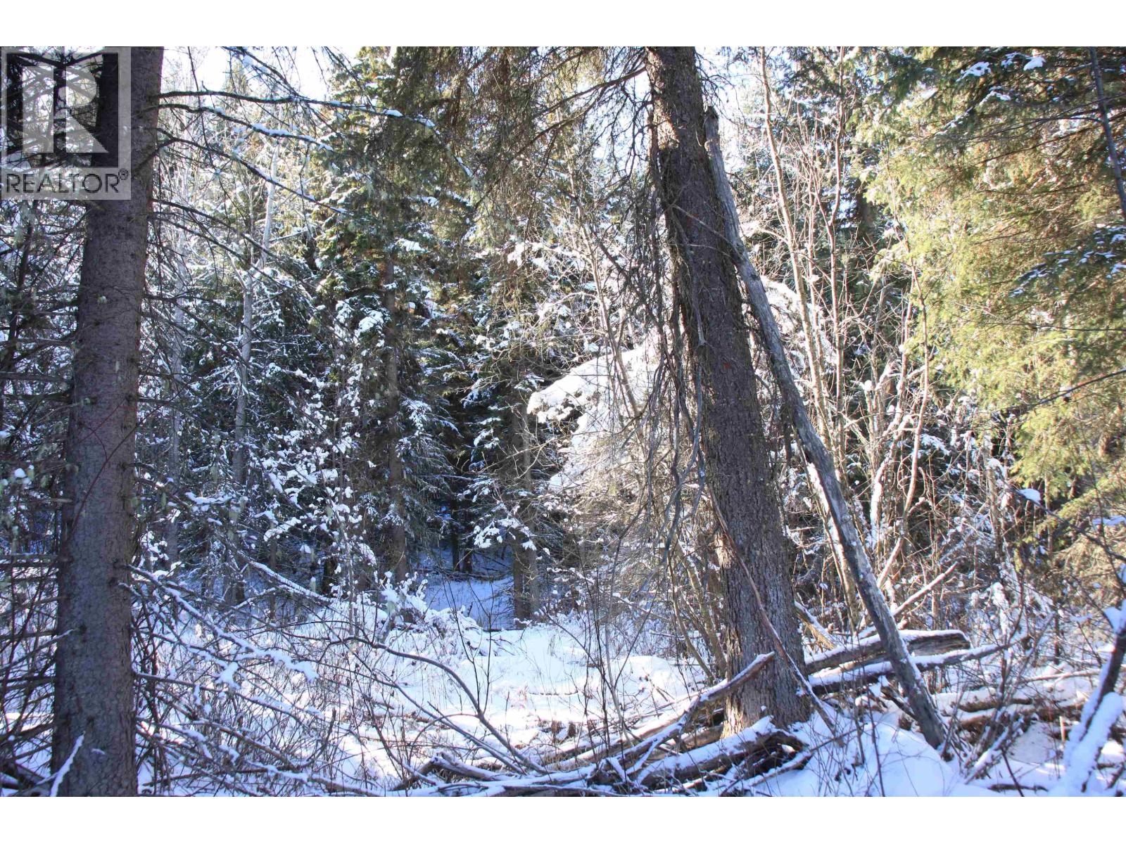 Prop Lot 35 Brown Road, Bridge Lake, British Columbia  V0K 1X2 - Photo 25 - R3093820