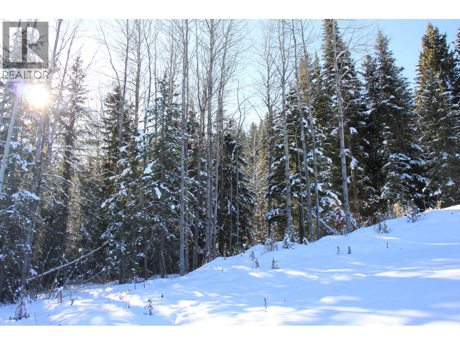 Prop Lot 35 Brown Road, Bridge Lake, British Columbia  V0K 1X2 - Photo 6 - R3093820