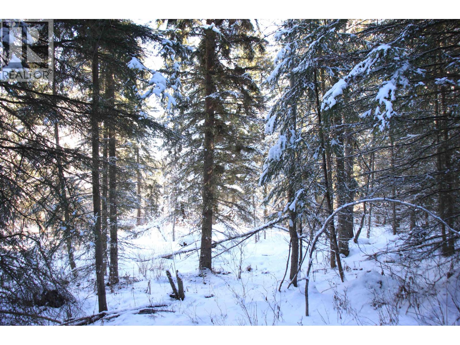 Prop Lot 35 Brown Road, Bridge Lake, British Columbia  V0K 1X2 - Photo 20 - R3093820