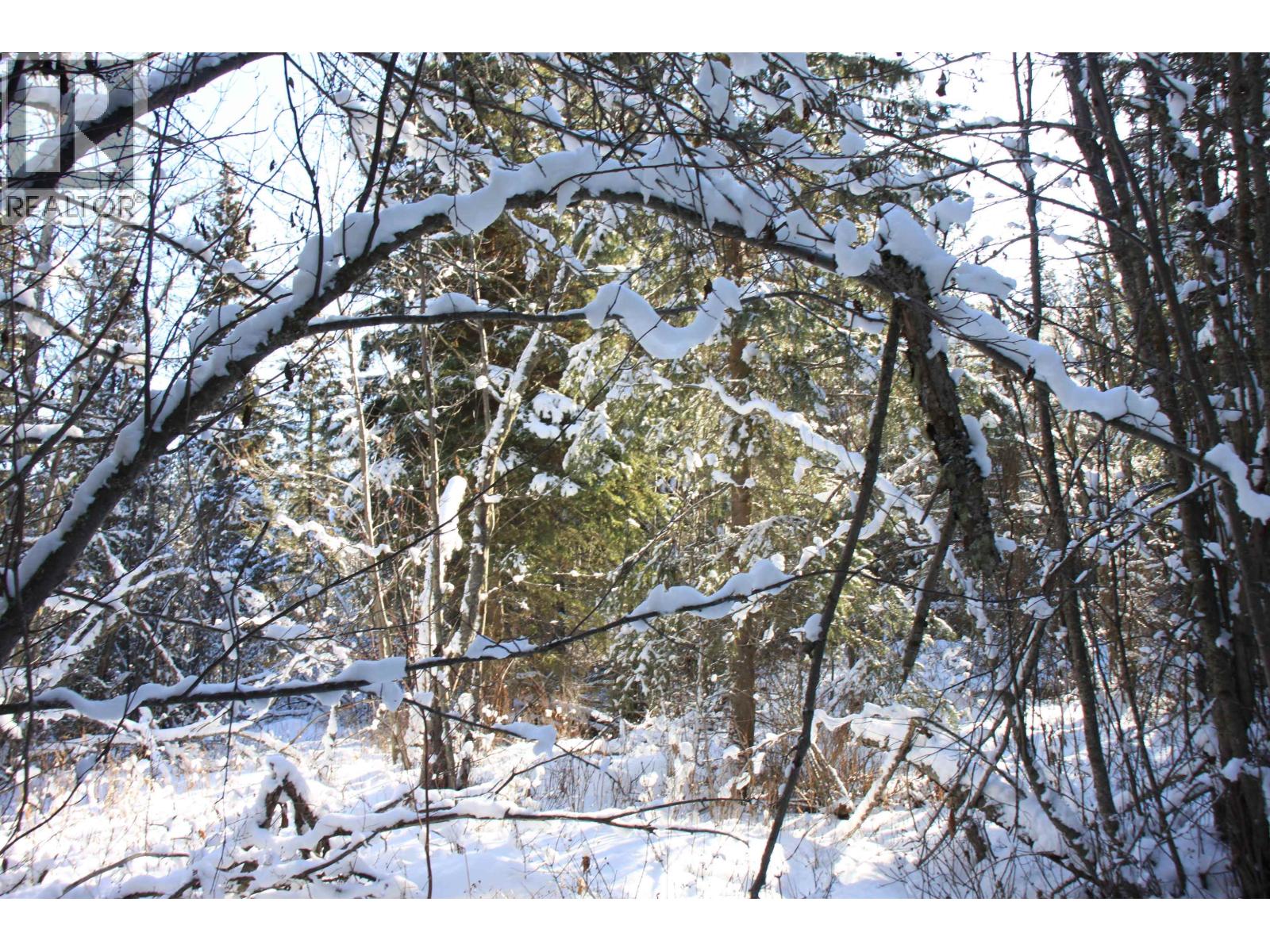 Prop Lot 35 Brown Road, Bridge Lake, British Columbia  V0K 1X2 - Photo 11 - R3093820