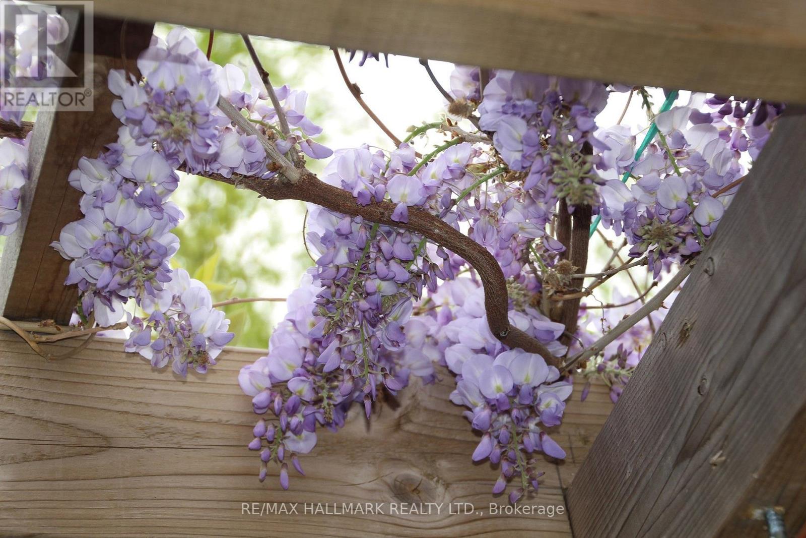 9 Pethick Street, Toronto, Ontario  M1L 0C6 - Photo 49 - E12844568