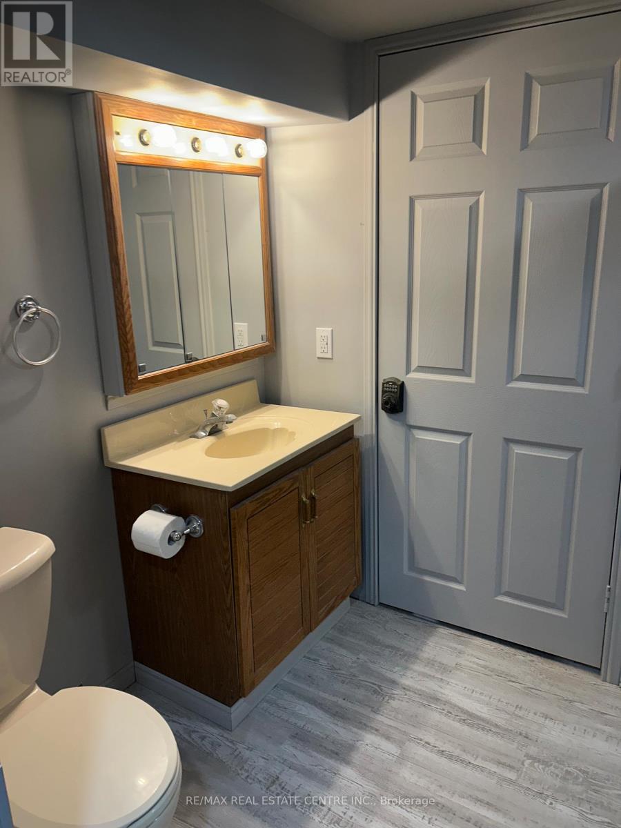 319 King Street N, New Tecumseth, Ontario  L9R 1N3 - Photo 12 - N12844406