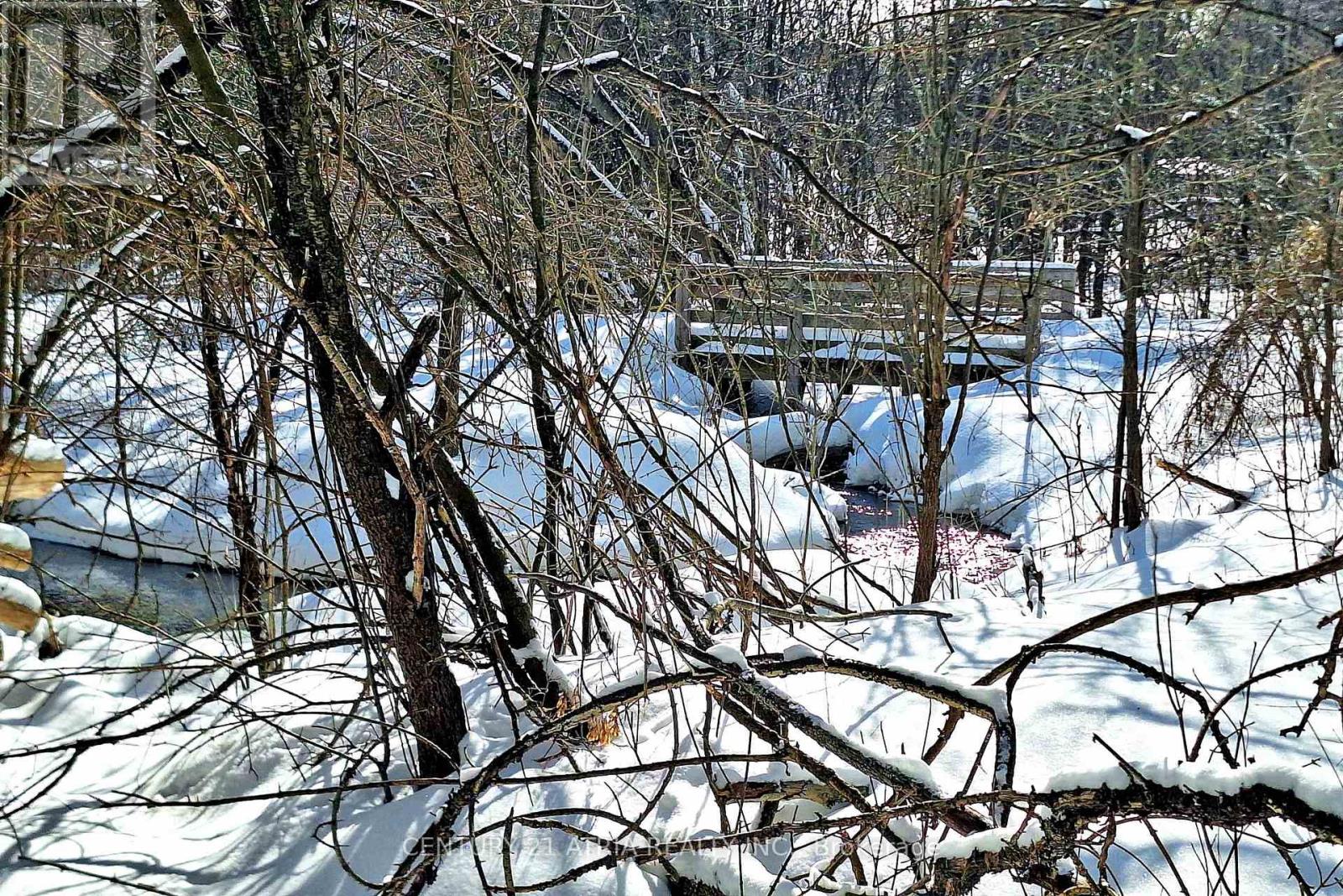 35 Anderson Place, Aurora, Ontario  L4G 6G4 - Photo 49 - N12844496