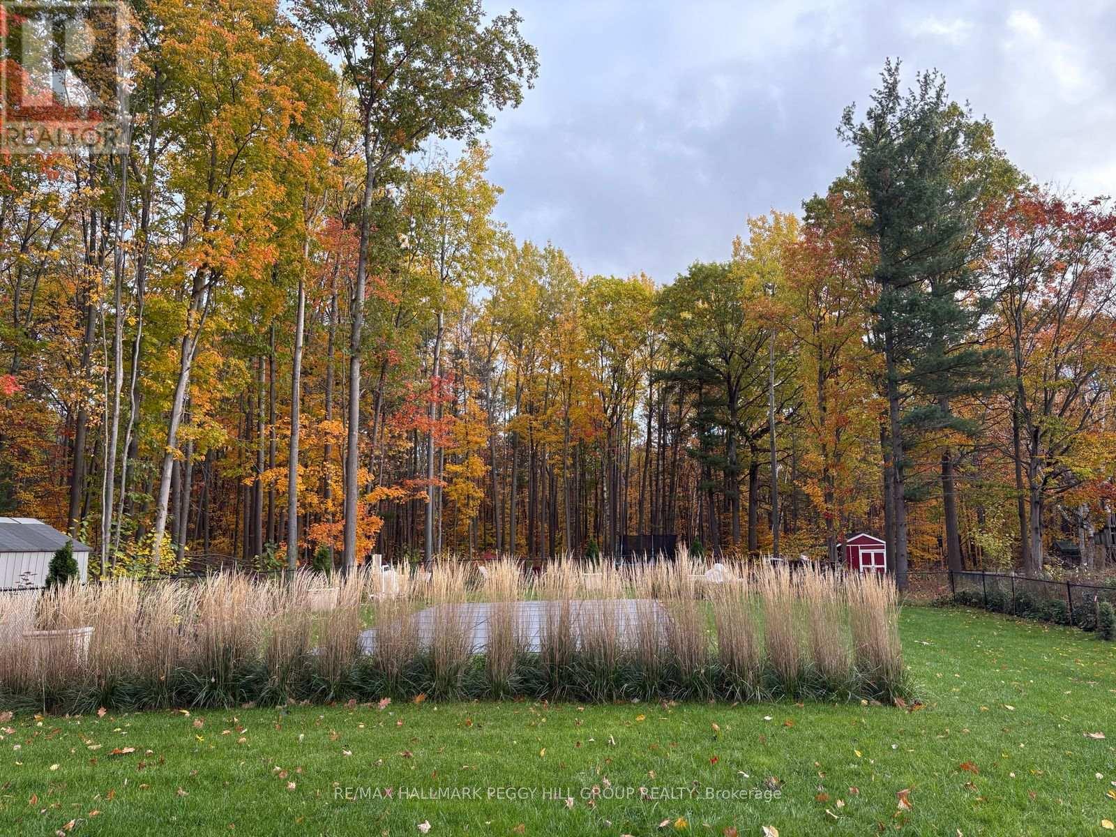 1127 Sunnidale Road, Springwater, Ontario  L9X 0R9 - Photo 18 - S12844284