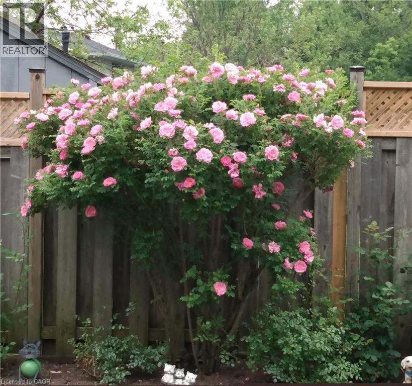 639 Rexford Drive, Hamilton, Ontario  L8W 3E7 - Photo 46 - 40809326