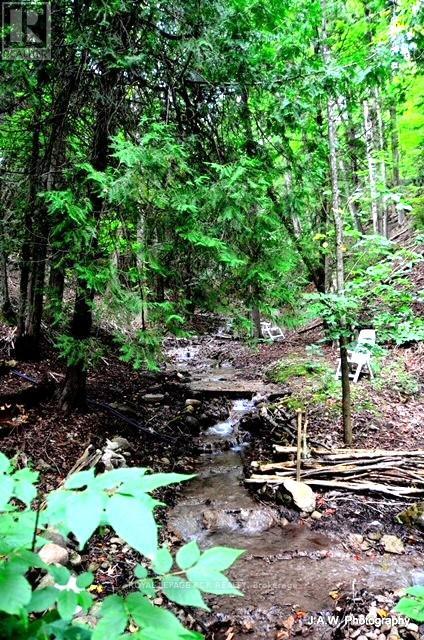 307209 Hockley Road, Mono, Ontario  L9W 6M8 - Photo 38 - X12844254