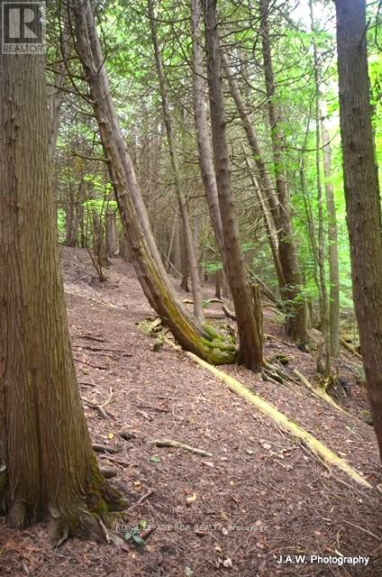 307209 Hockley Road, Mono, Ontario  L9W 6M8 - Photo 40 - X12844254