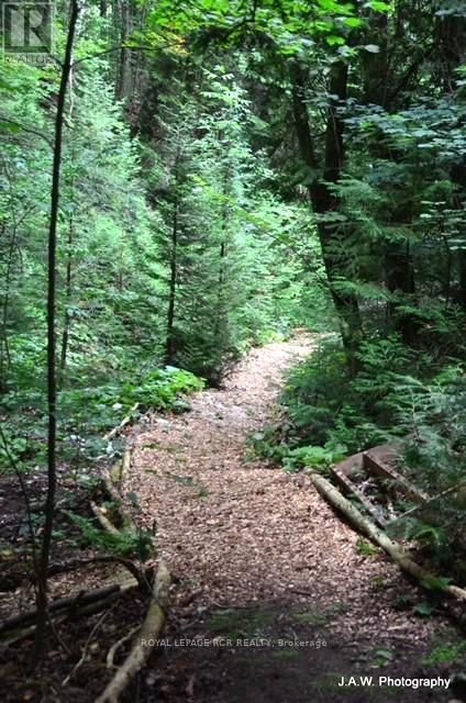 307209 Hockley Road, Mono, Ontario  L9W 6M8 - Photo 41 - X12844254