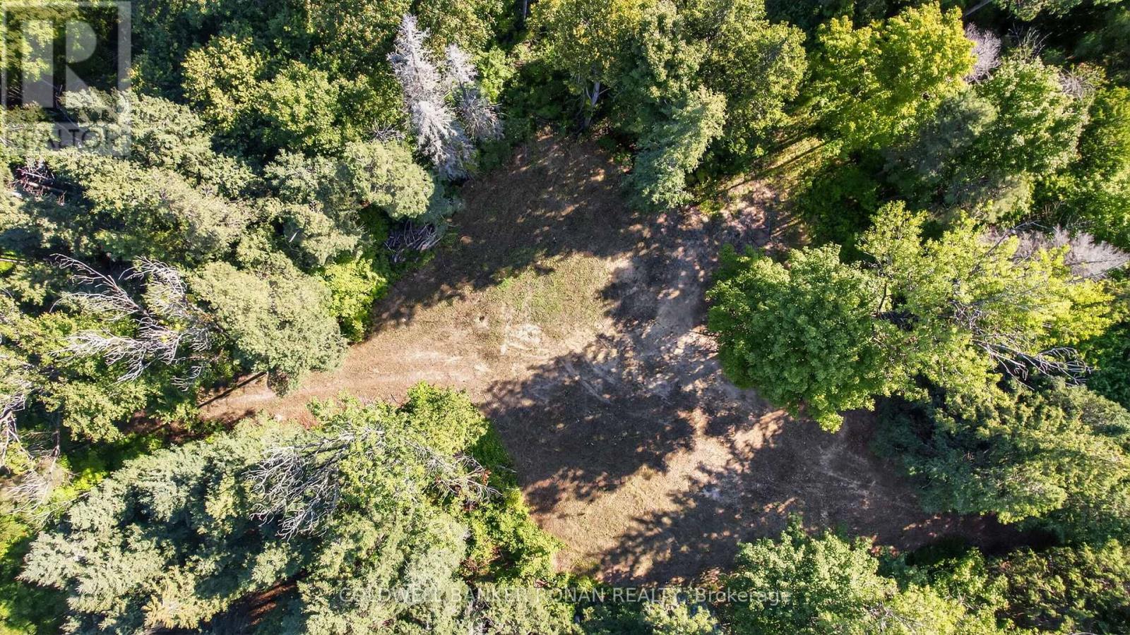 934529 Airport Road, Mono, Ontario  L9W 2Z2 - Photo 11 - X12844556