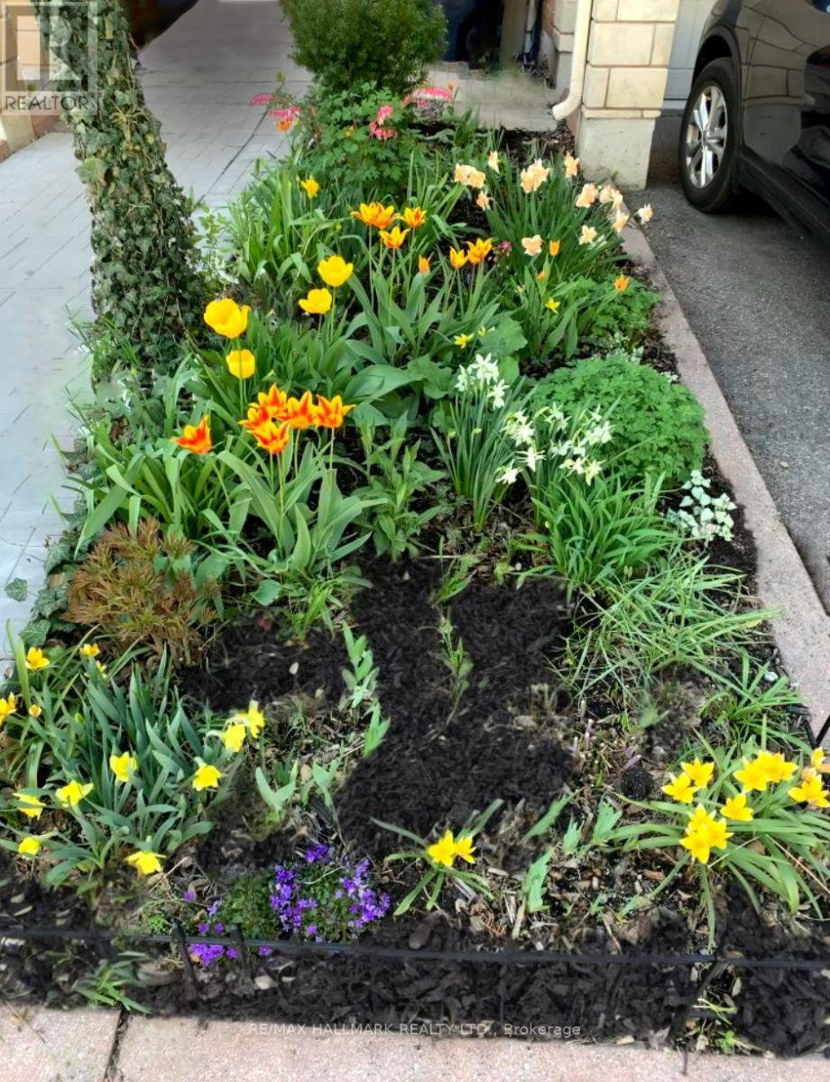 9 Pethick Street, Toronto, Ontario  M1L 0C6 - Photo 41 - E12844568