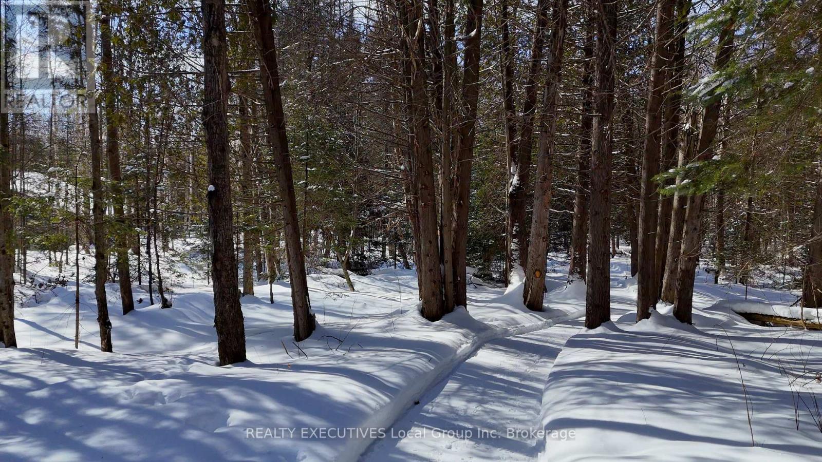 2149 South Shore Road, Bonfield, Ontario  P0H 1E0 - Photo 44 - X12844600