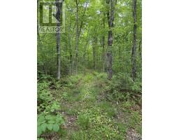 Lot (PID 20098885) Truro Road, New Annan, Nova Scotia