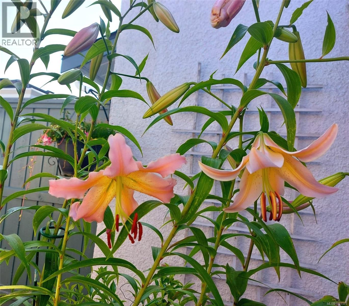 5 10084 Third St, Sidney, British Columbia  V8L 3B3 - Photo 38 - 1027575